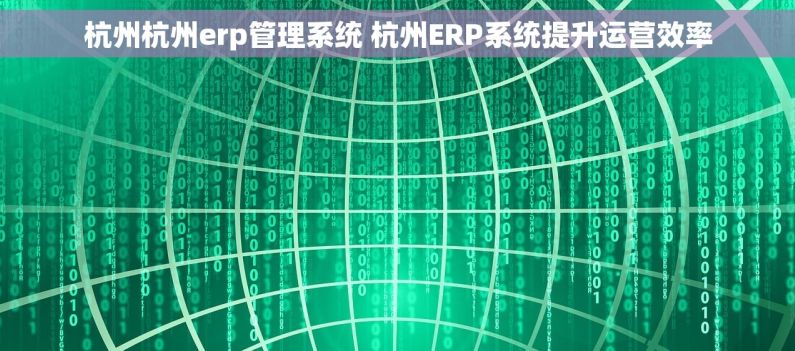 杭州杭州erp管理系统 杭州ERP系统提升运营效率