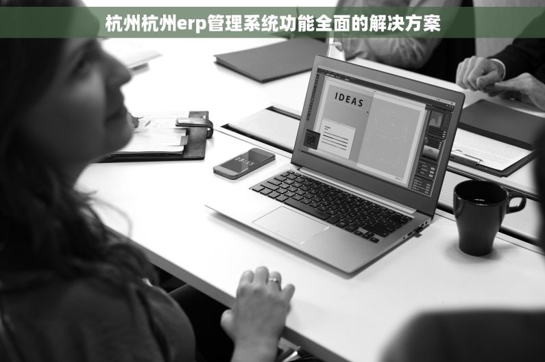 杭州杭州erp管理系统功能全面的解决方案