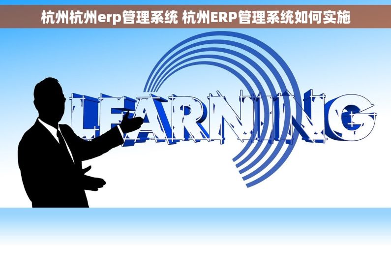 杭州杭州erp管理系统 杭州ERP管理系统如何实施