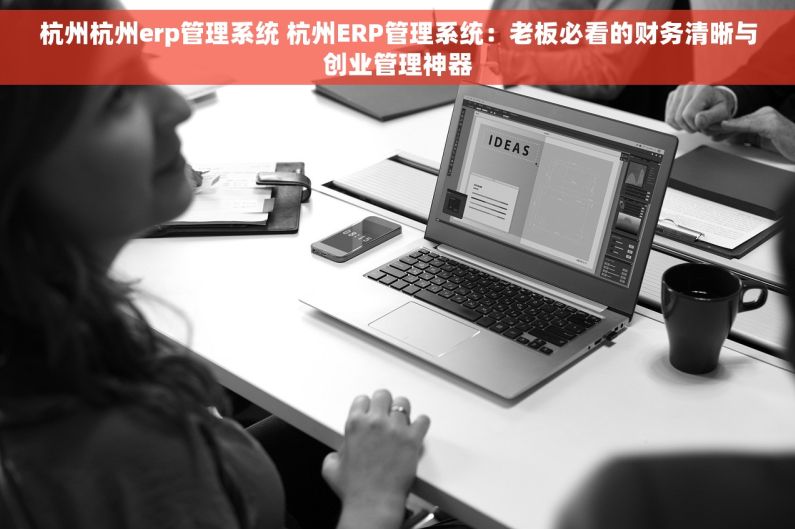 杭州杭州erp管理系统 杭州ERP管理系统：老板必看的财务清晰与创业管理神器