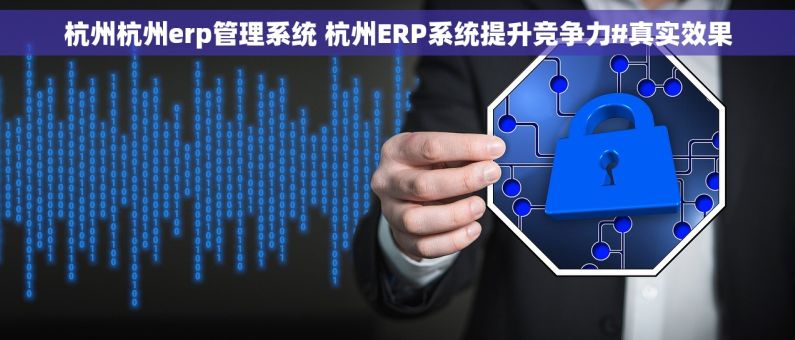杭州杭州erp管理系统 杭州ERP系统提升竞争力#真实效果