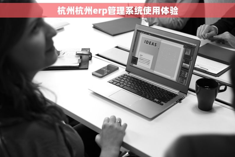 杭州杭州erp管理系统使用体验