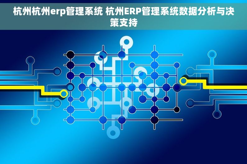 杭州杭州erp管理系统 杭州ERP管理系统数据分析与决策支持
