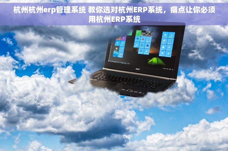 杭州杭州erp管理系统 教你选对杭州ERP系统，痛点让你必须用杭州ERP系统