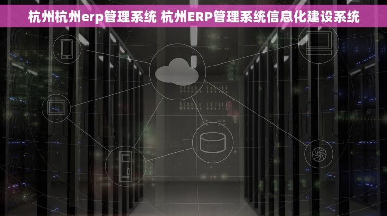 杭州杭州erp管理系统 杭州ERP管理系统信息化建设系统