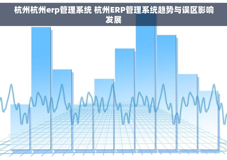 杭州杭州erp管理系统 杭州ERP管理系统趋势与误区影响发展