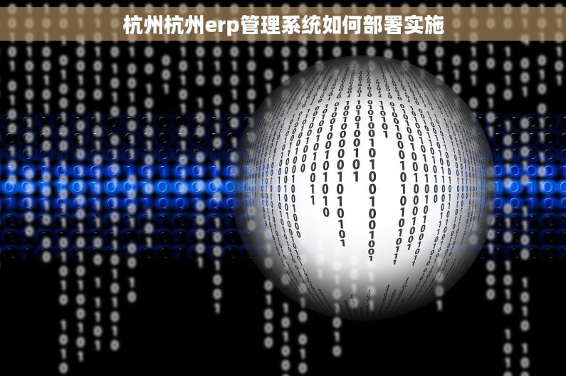 杭州杭州erp管理系统如何部署实施