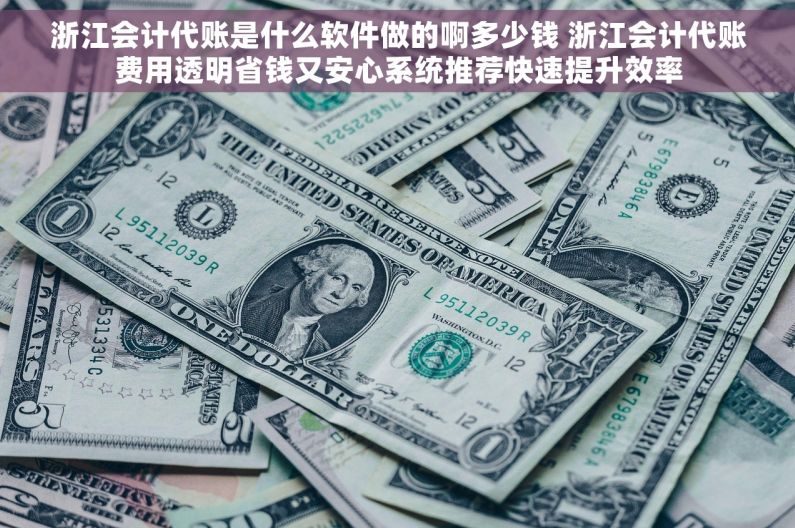 浙江会计代账是什么软件做的啊多少钱 浙江会计代账费用透明省钱又安心系统推荐快速提升效率