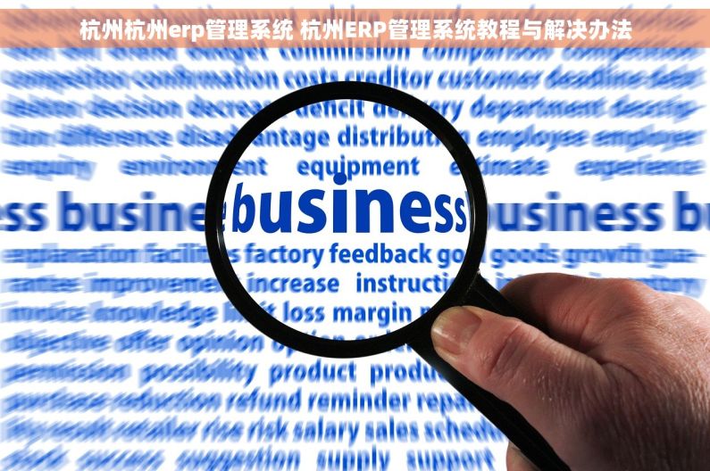 杭州杭州erp管理系统 杭州ERP管理系统教程与解决办法