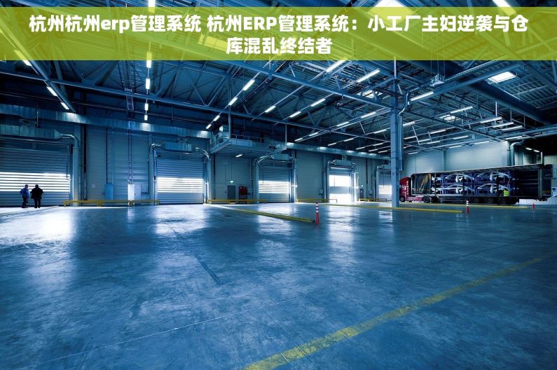 杭州杭州erp管理系统 杭州ERP管理系统：小工厂主妇逆袭与仓库混乱终结者