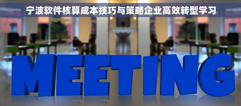 宁波软件核算成本技巧与策略企业高效转型学习