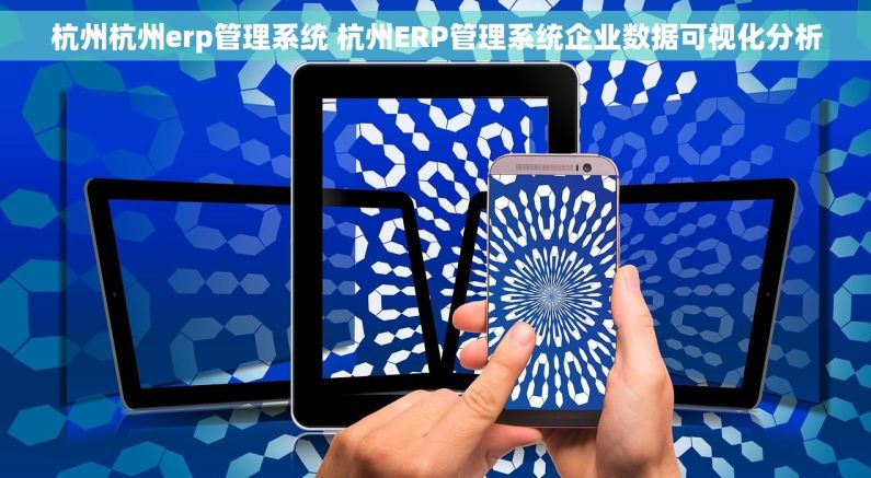 杭州杭州erp管理系统 杭州ERP管理系统企业数据可视化分析