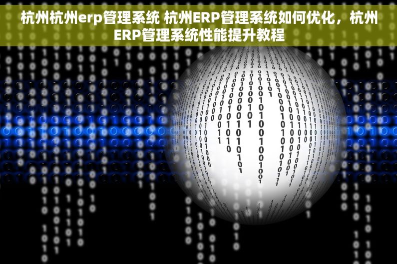 杭州杭州erp管理系统 杭州ERP管理系统如何优化，杭州ERP管理系统性能提升教程