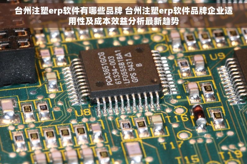 台州注塑erp软件有哪些品牌 台州注塑erp软件品牌企业适用性及成本效益分析最新趋势