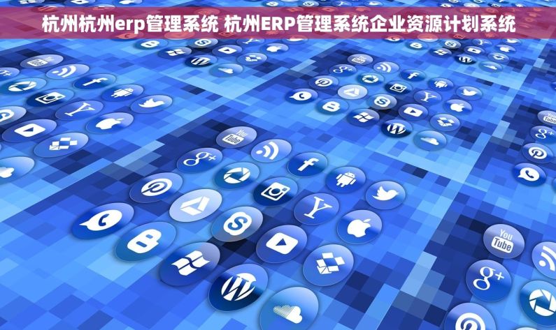 杭州杭州erp管理系统 杭州ERP管理系统企业资源计划系统