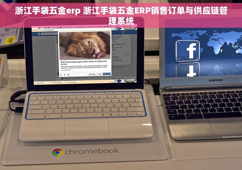 浙江手袋五金erp 浙江手袋五金ERP销售订单与供应链管理系统