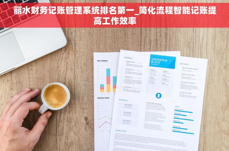 丽水财务记账管理系统排名第一_简化流程智能记账提高工作效率