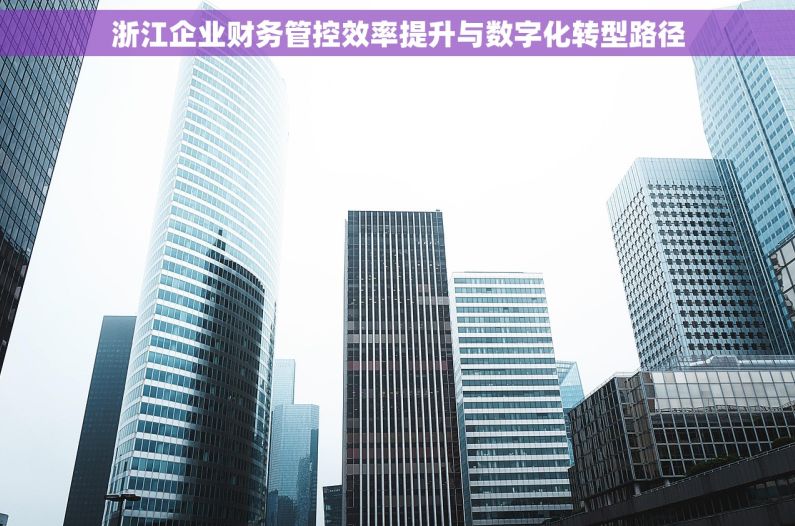浙江企业财务管控效率提升与数字化转型路径