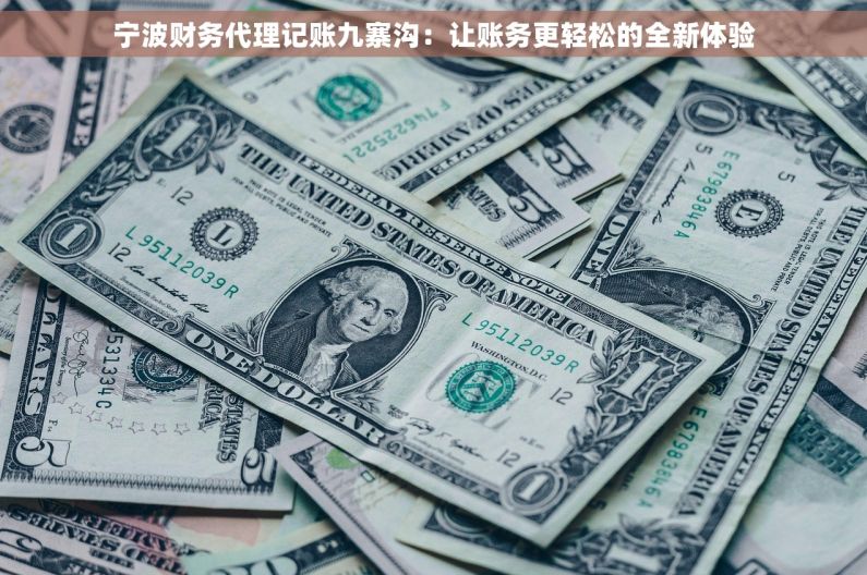 宁波财务代理记账九寨沟：让账务更轻松的全新体验
