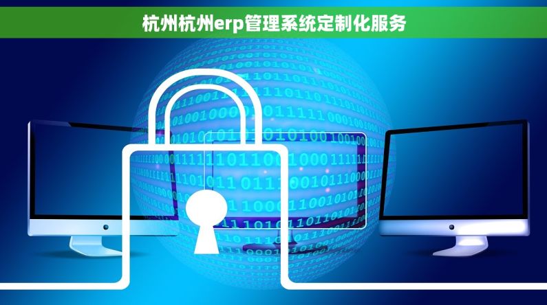 杭州杭州erp管理系统定制化服务