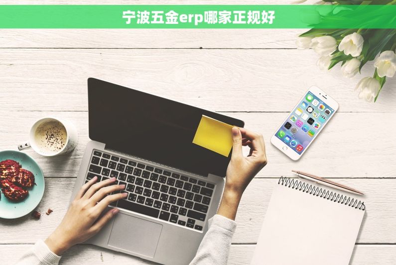 宁波五金erp哪家正规好