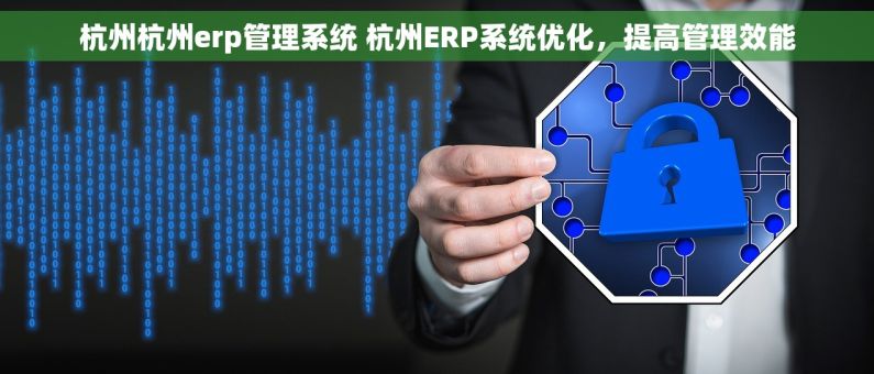 杭州杭州erp管理系统 杭州ERP系统优化，提高管理效能