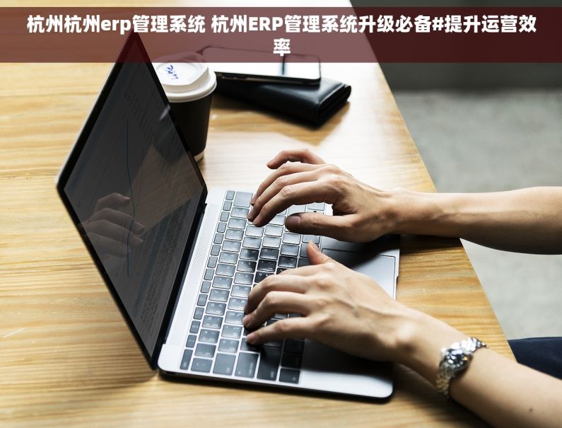 杭州杭州erp管理系统 杭州ERP管理系统升级必备#提升运营效率