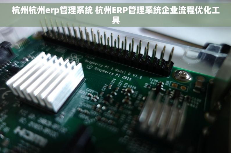 杭州杭州erp管理系统 杭州ERP管理系统企业流程优化工具