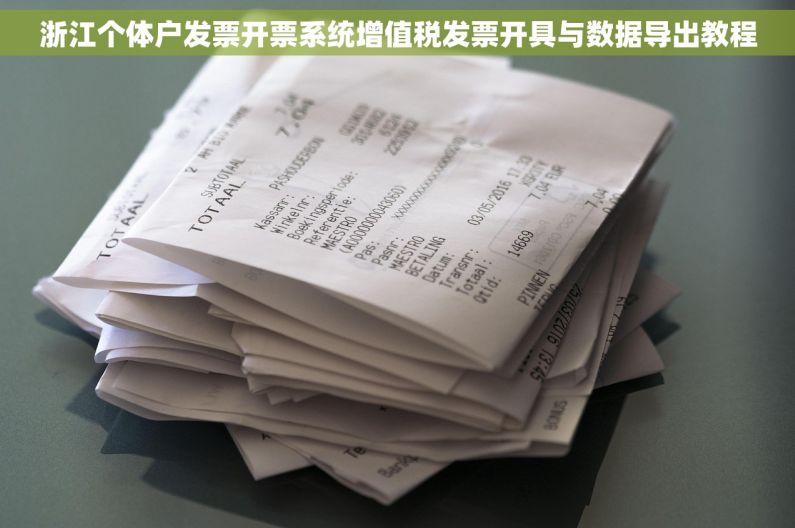 浙江个体户发票开票系统增值税发票开具与数据导出教程