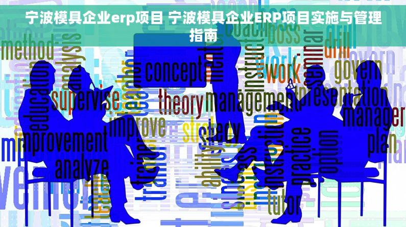 宁波模具企业erp项目 宁波模具企业ERP项目实施与管理指南
