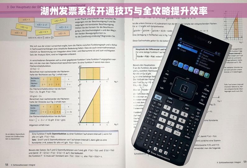 湖州发票系统开通技巧与全攻略提升效率