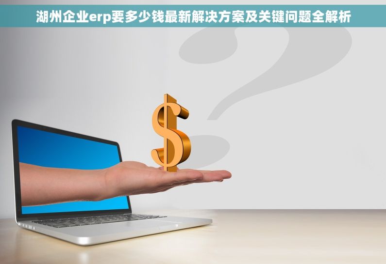 湖州企业erp要多少钱最新解决方案及关键问题全解析