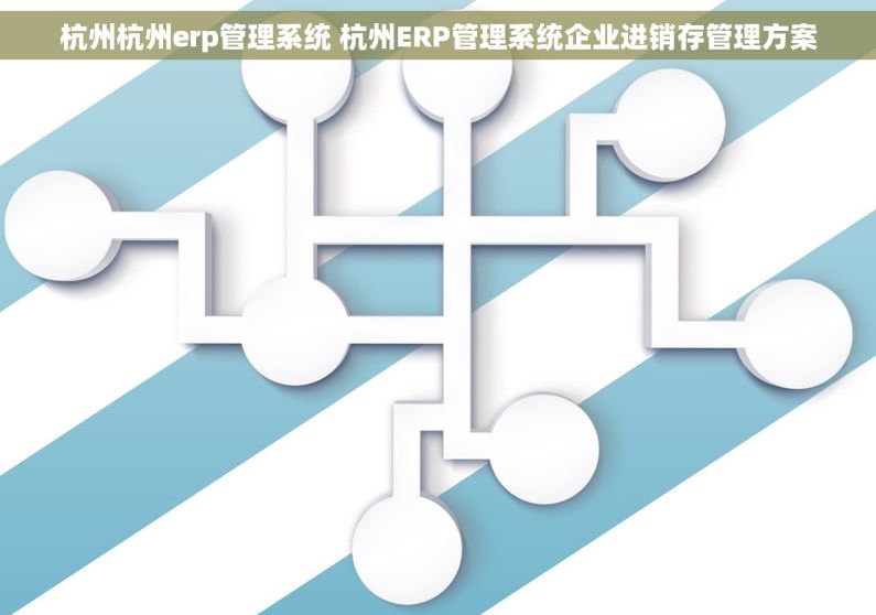 杭州杭州erp管理系统 杭州ERP管理系统企业进销存管理方案