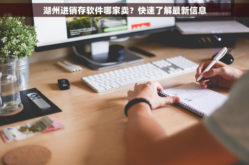 湖州进销存软件哪家卖？快速了解最新信息