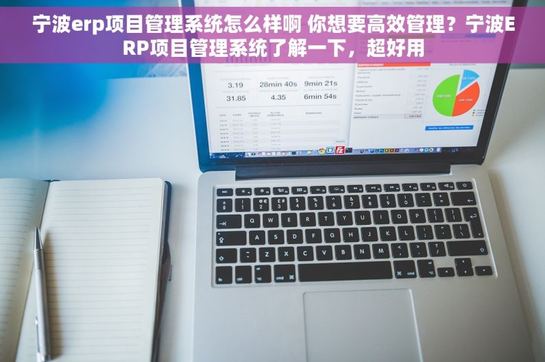 宁波erp项目管理系统怎么样啊 你想要高效管理？宁波ERP项目管理系统了解一下，超好用
