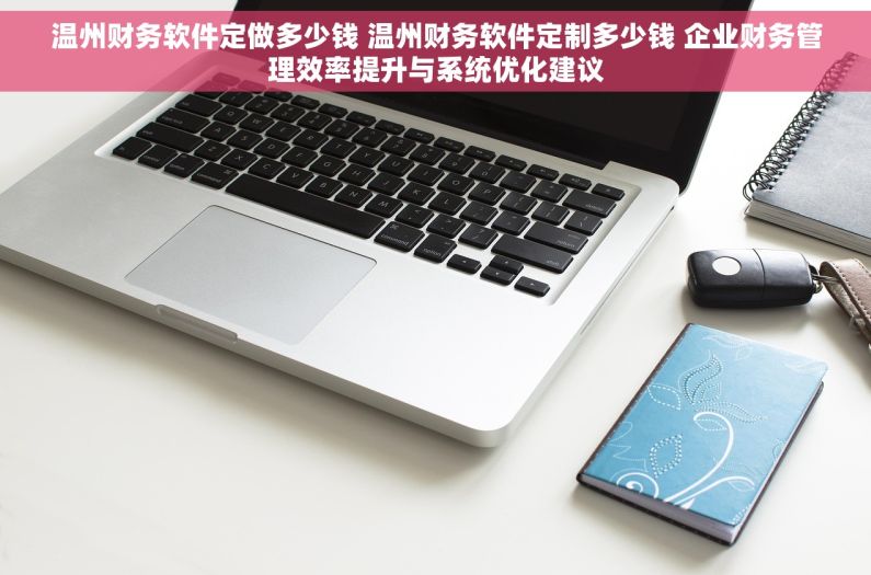 温州财务软件定做多少钱 温州财务软件定制多少钱 企业财务管理效率提升与系统优化建议