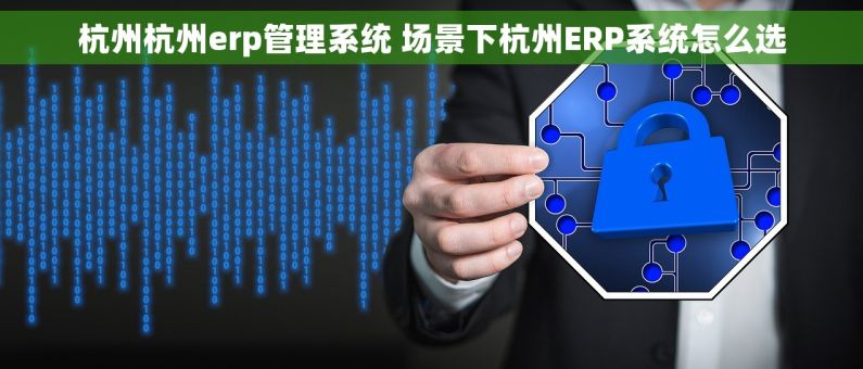 杭州杭州erp管理系统 场景下杭州ERP系统怎么选