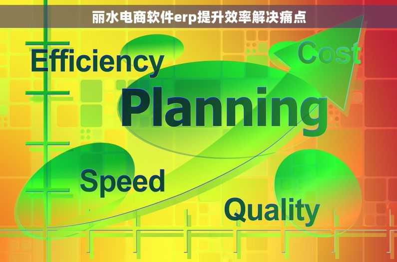 丽水电商软件erp提升效率解决痛点