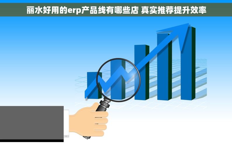 丽水好用的erp产品线有哪些店 真实推荐提升效率