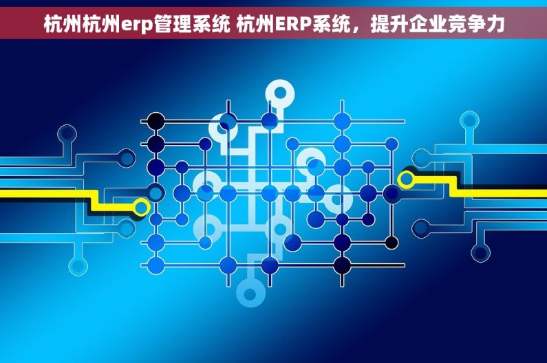 杭州杭州erp管理系统 杭州ERP系统，提升企业竞争力