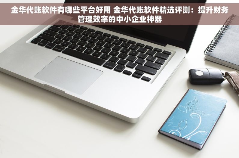 金华代账软件有哪些平台好用 金华代账软件精选评测：提升财务管理效率的中小企业神器