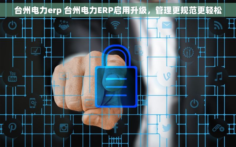 台州电力erp 台州电力ERP启用升级，管理更规范更轻松