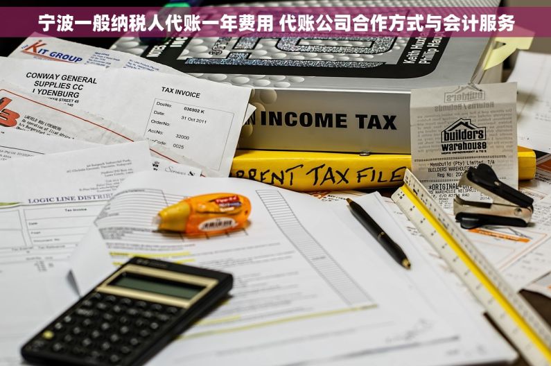宁波一般纳税人代账一年费用 代账公司合作方式与会计服务