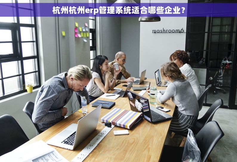 杭州杭州erp管理系统适合哪些企业？