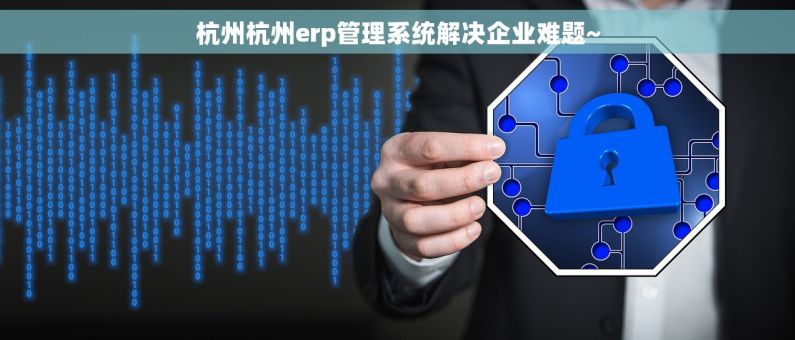 杭州杭州erp管理系统解决企业难题~