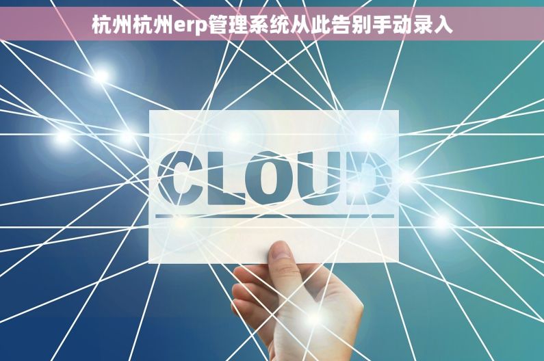 杭州杭州erp管理系统从此告别手动录入