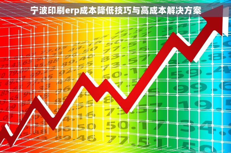 宁波印刷erp成本降低技巧与高成本解决方案