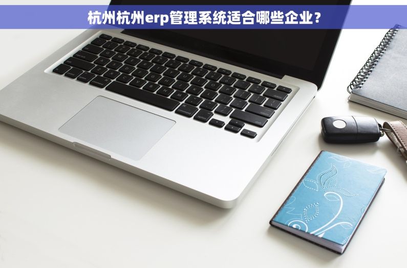 杭州杭州erp管理系统适合哪些企业？