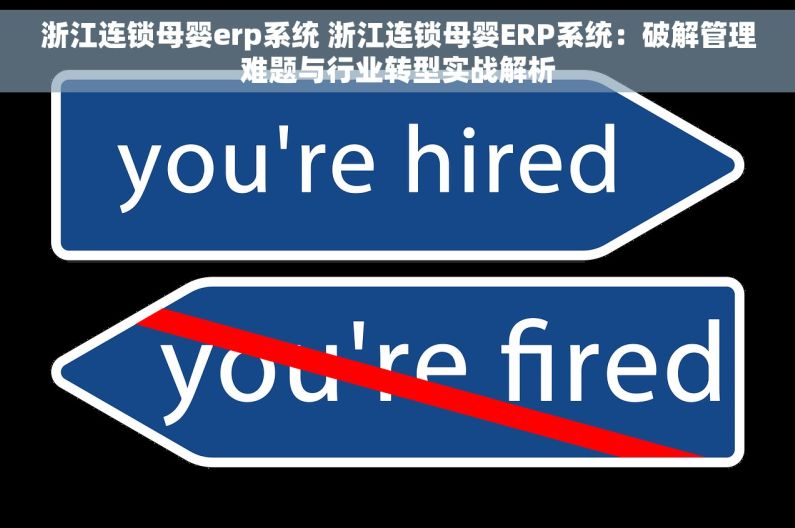 浙江连锁母婴erp系统 浙江连锁母婴ERP系统：破解管理难题与行业转型实战解析