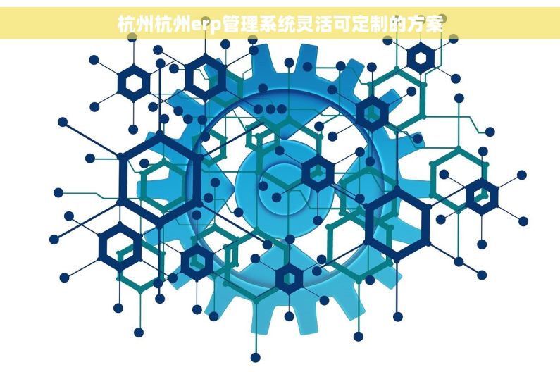 杭州杭州erp管理系统灵活可定制的方案